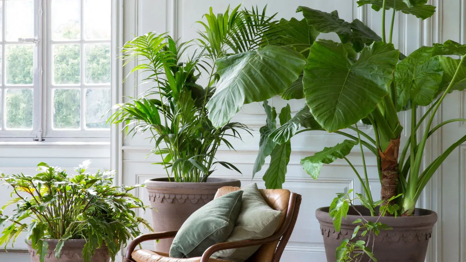 Breathe Life Into Your Home