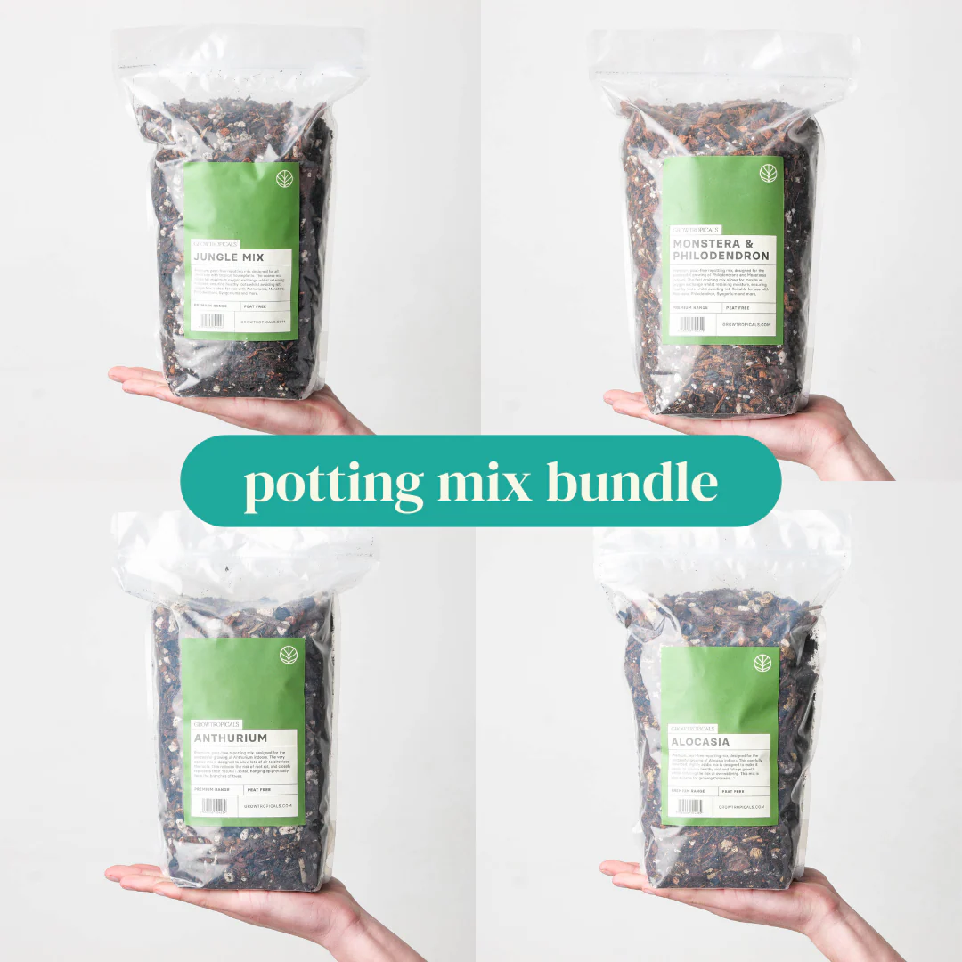 Aroid Potting Mix Bundle
