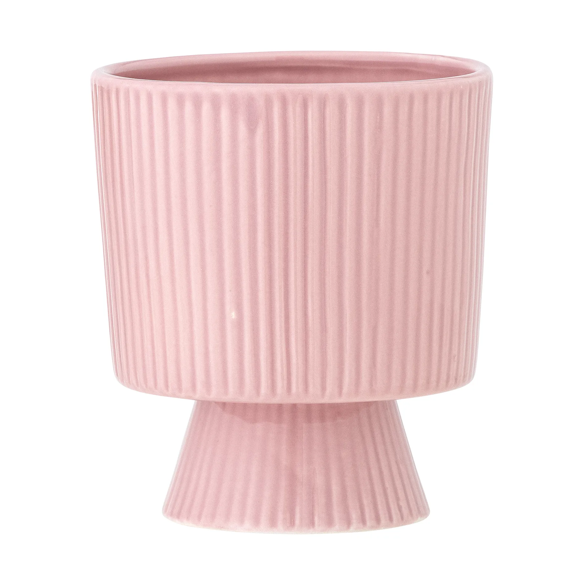 Ayleen Pot Rose