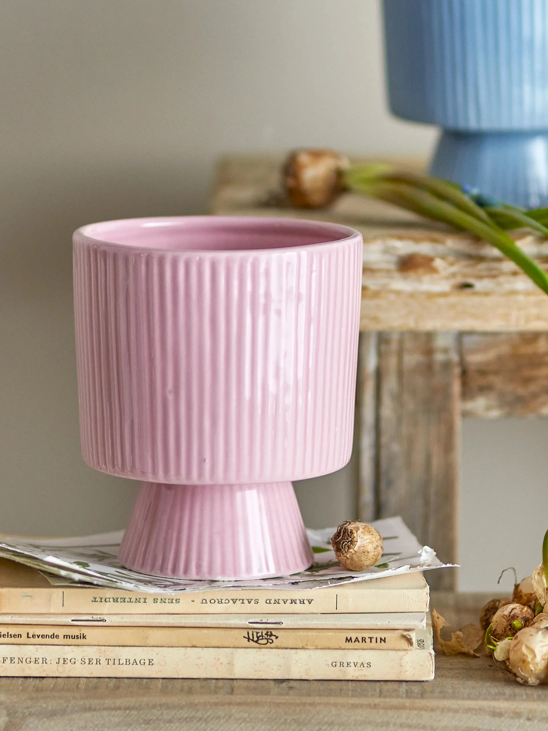 Ayleen Pot Rose - Image 2