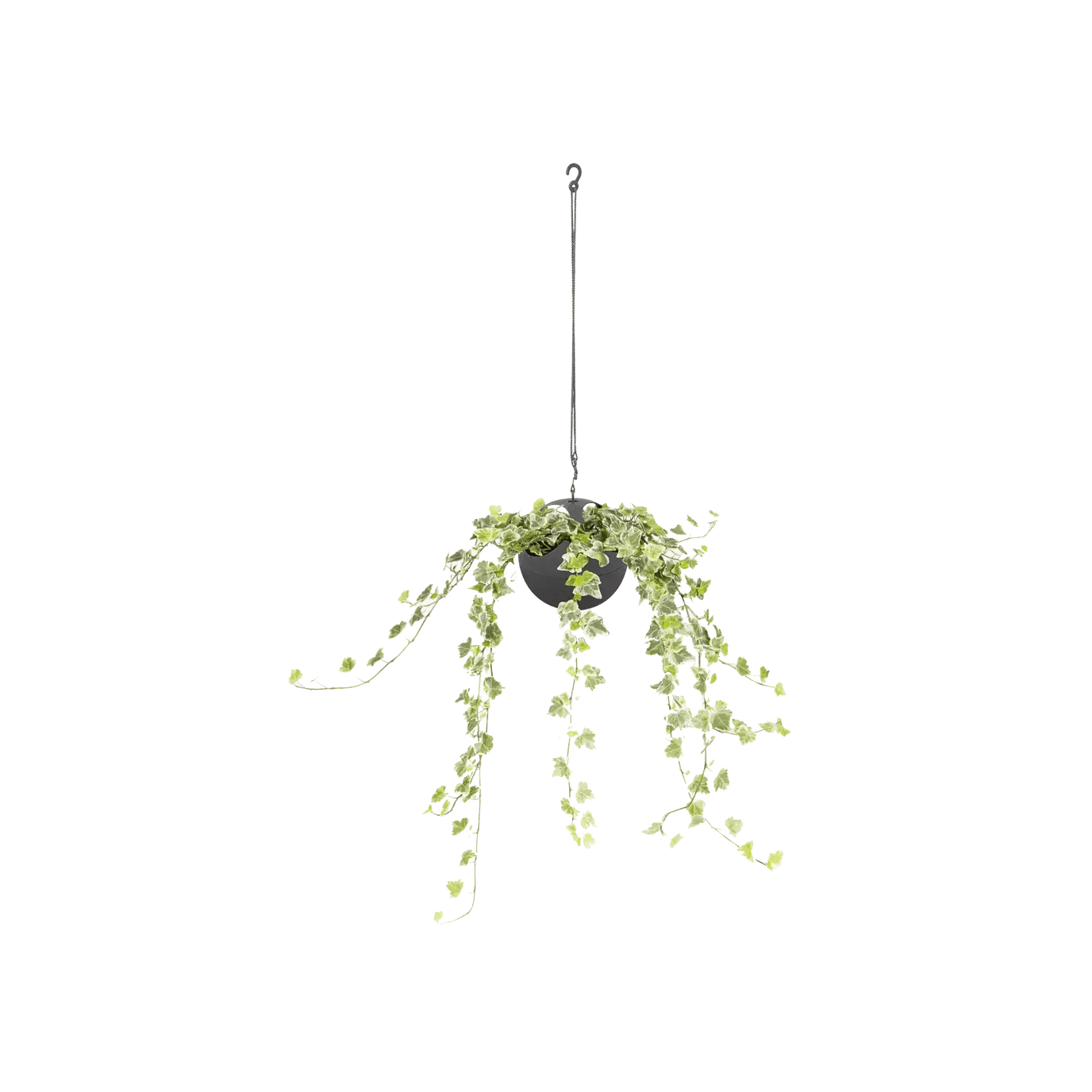 Elho B.For Soft Air Hanging Planter - Image 2