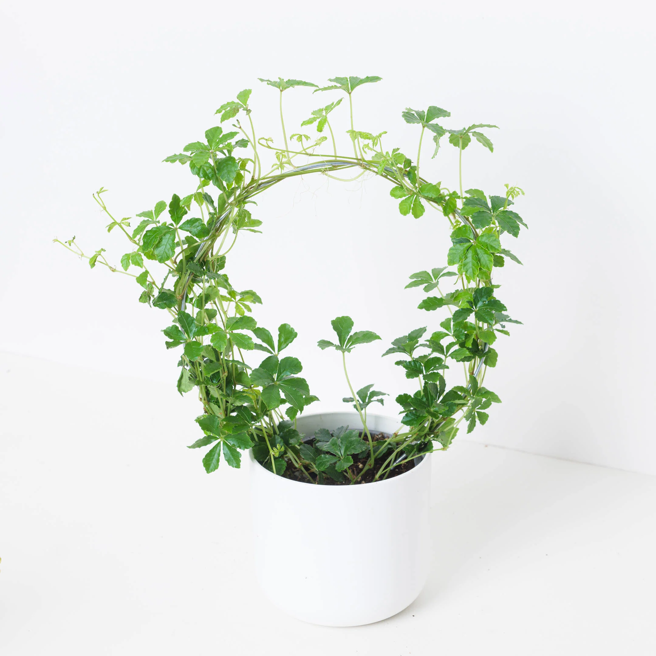Bathroom Bundle - Image 2