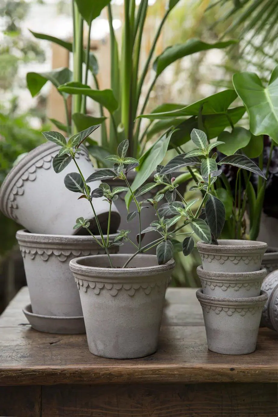 Bergs Potter Copenhagen Pot Grey