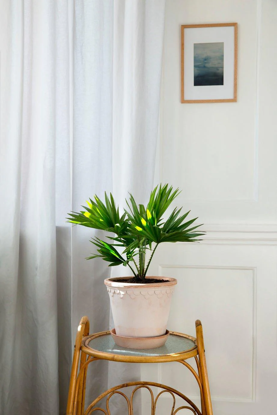 Bergs Potter Copenhagen Pot Rose - Image 3