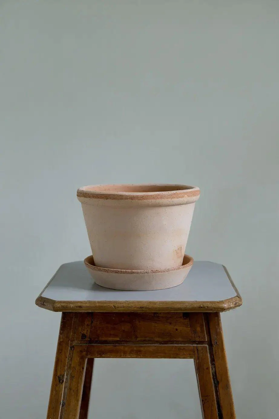 Bergs Potter Parade Pot Rose with Saucer - Image 2