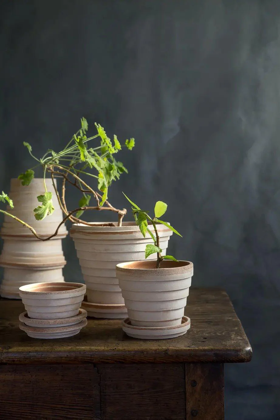 Bergs Potter Planets Pot Rose