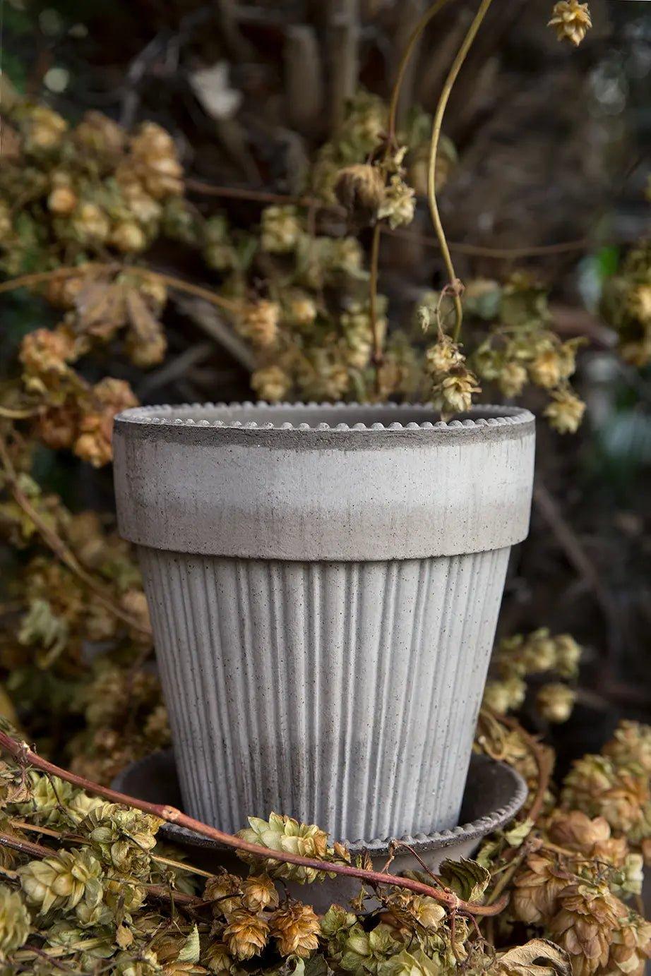 Bergs Potter Simona Pot Grey