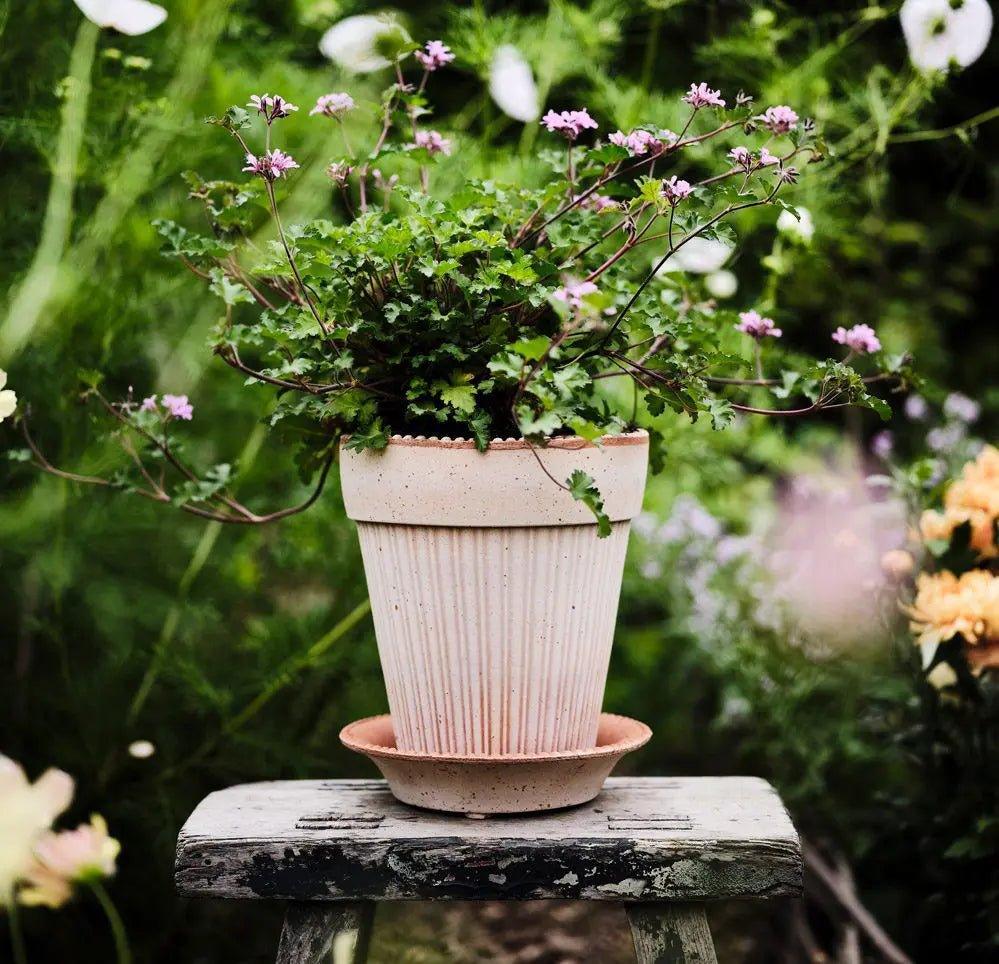 Bergs Potter Simona Pot Rose - Image 2