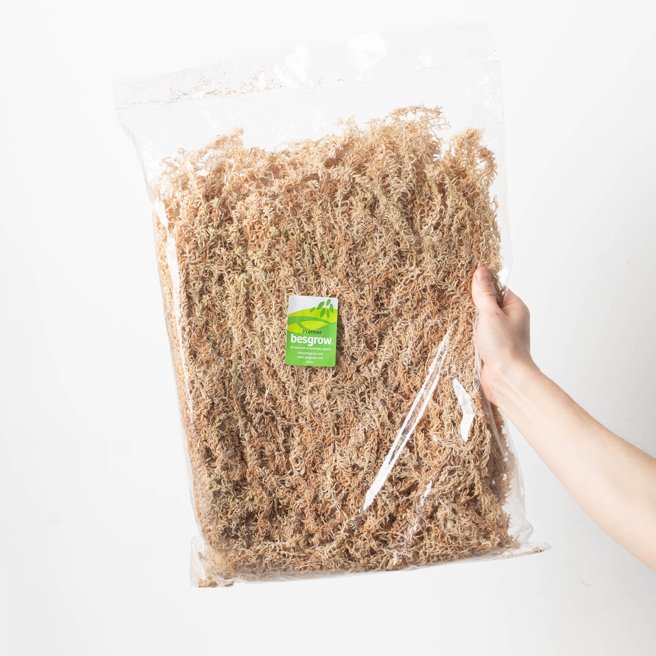 Besgrow Sphagnum Moss 100g | Premier Strand Moss