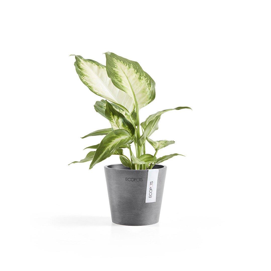 Ecopots Amsterdam Grey - Image 3