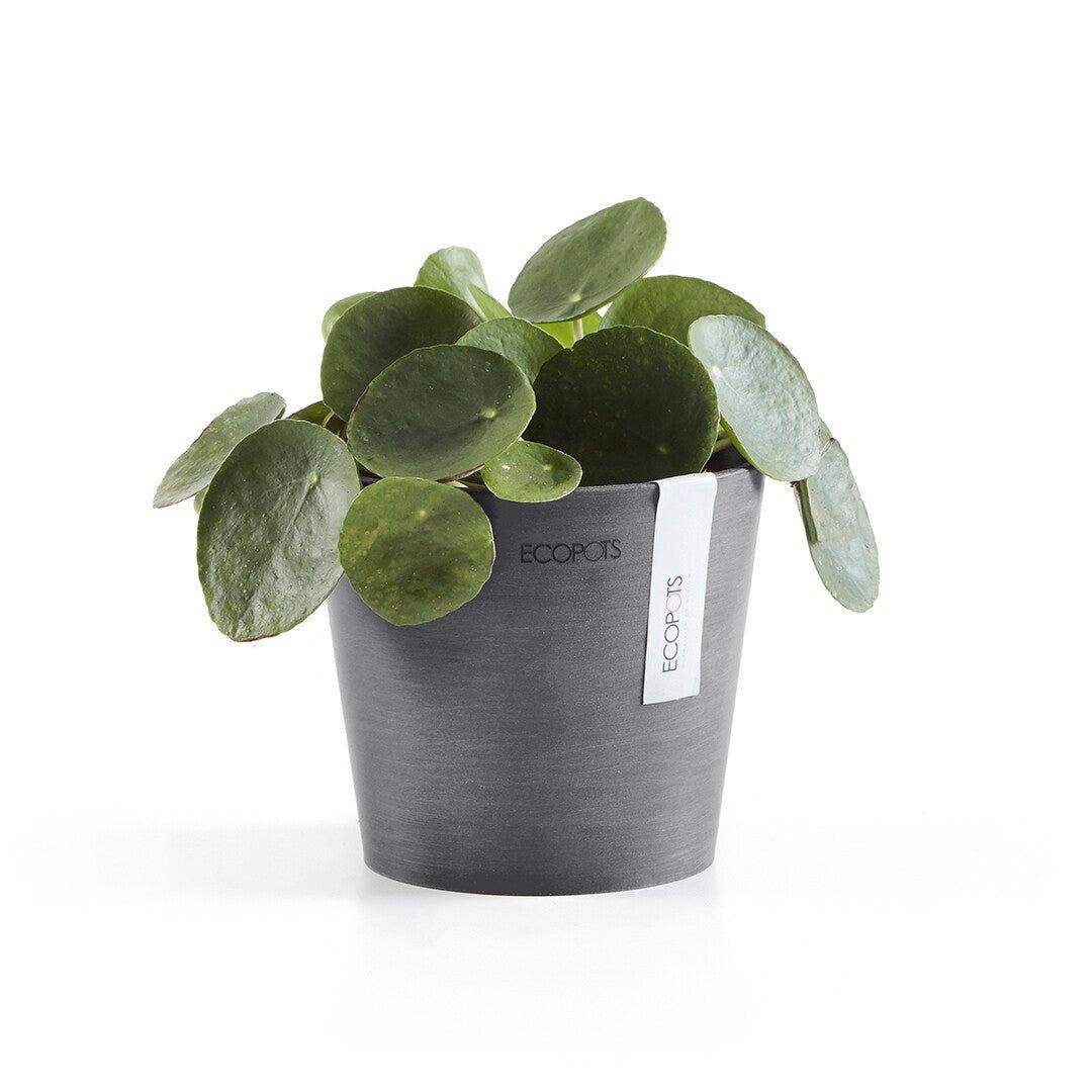 Ecopots Amsterdam Grey - Image 4