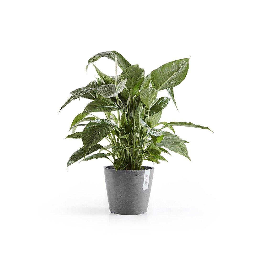 Ecopots Amsterdam Grey - Image 5