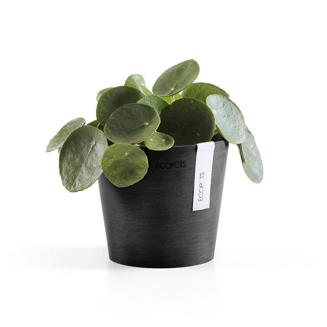 Ecopots Amsterdam Black - Image 3