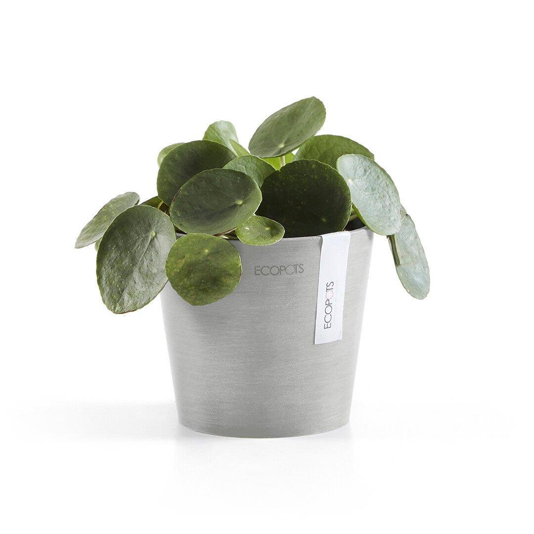 Ecopots Amsterdam Light Grey - Image 3