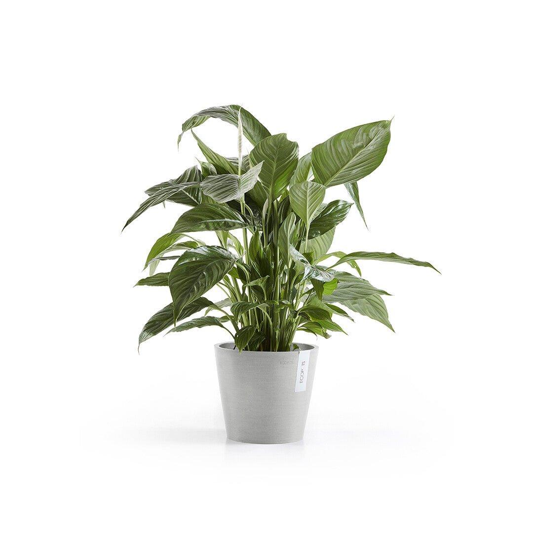 Ecopots Amsterdam Light Grey - Image 4