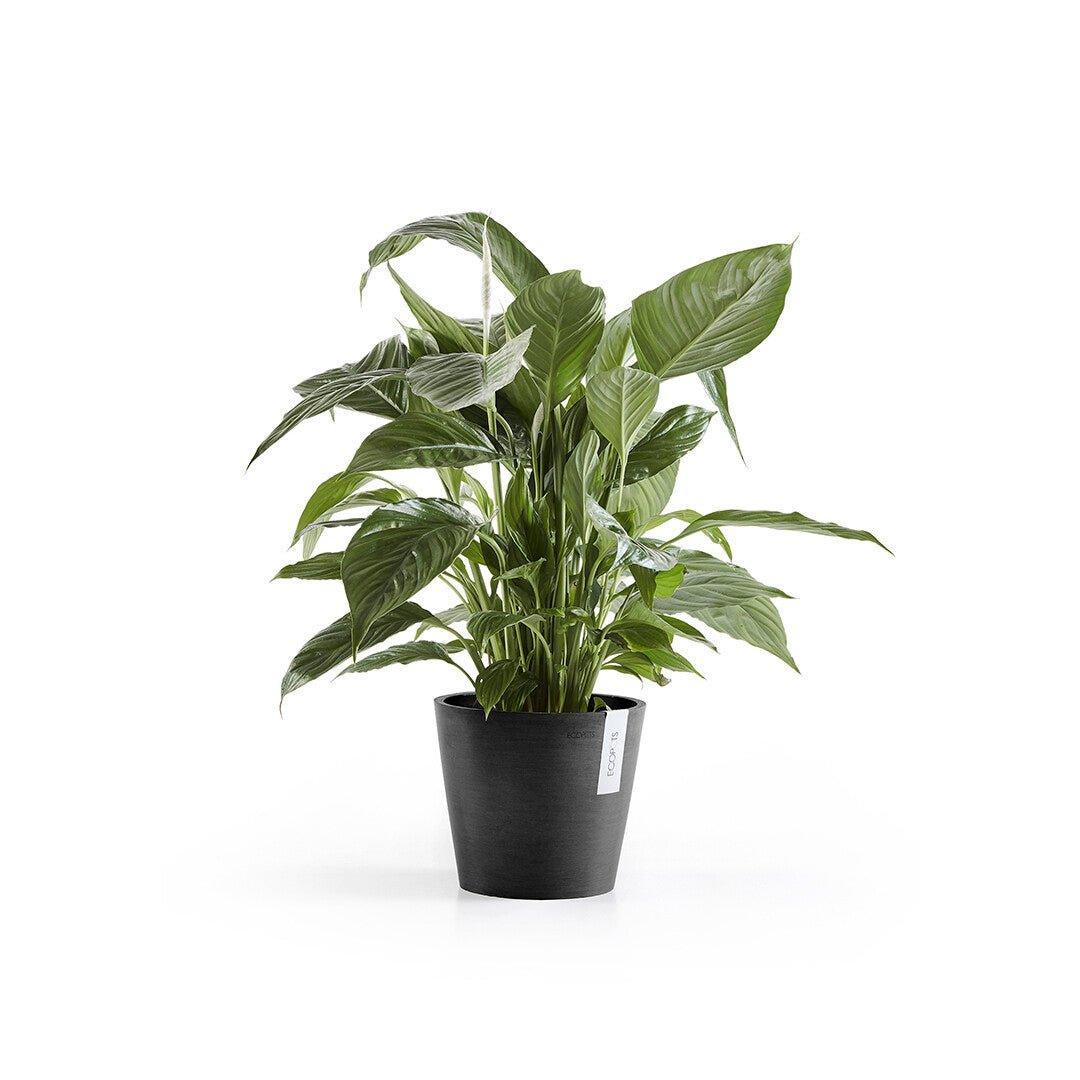 Ecopots Amsterdam Light Grey - Image 6