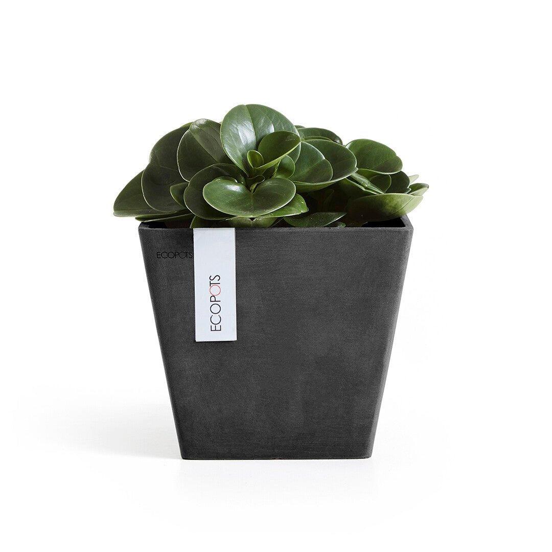 Ecopots Rotterdam Recycled Plastic Pot Black