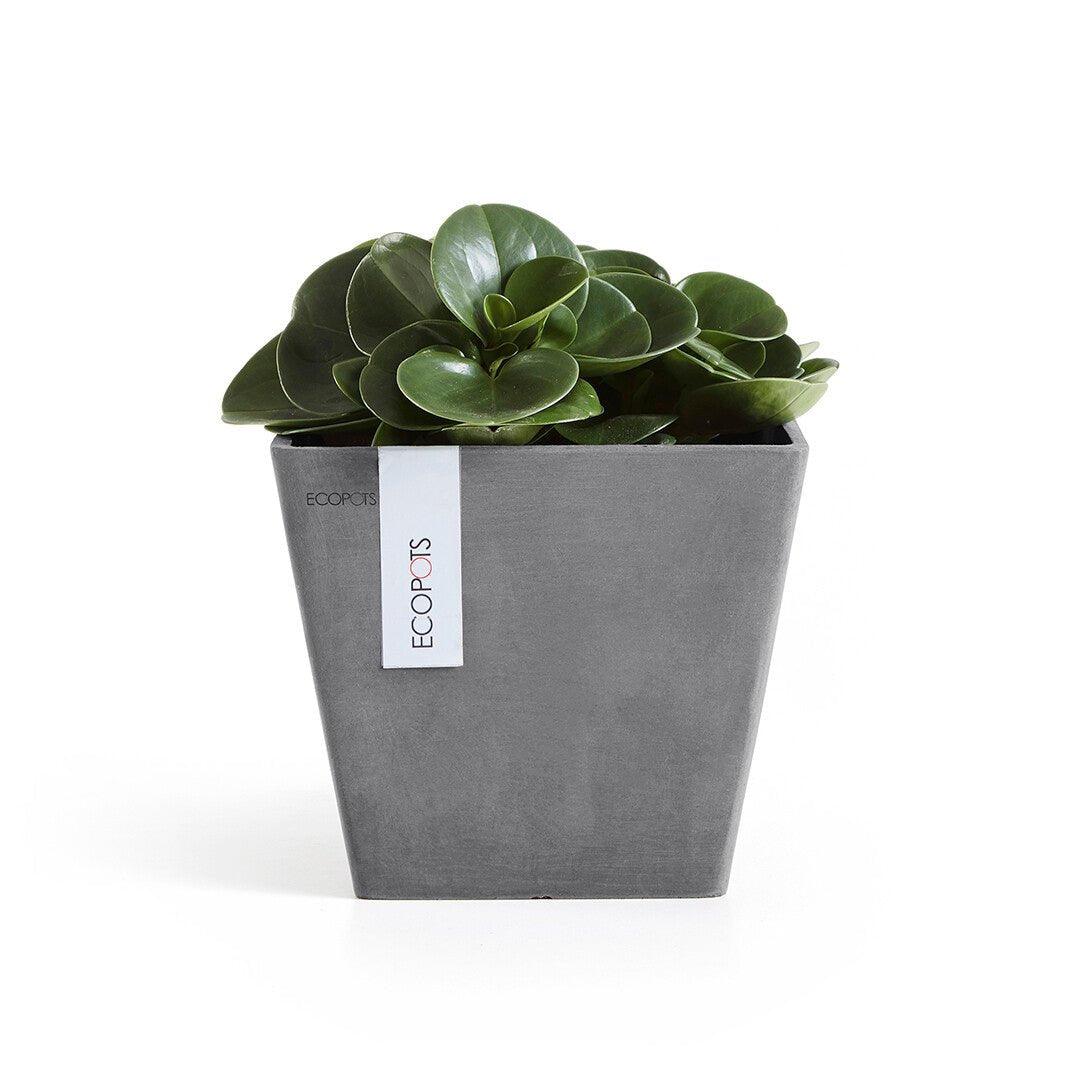 Ecopots Rotterdam Recycled Plastic Pot Grey