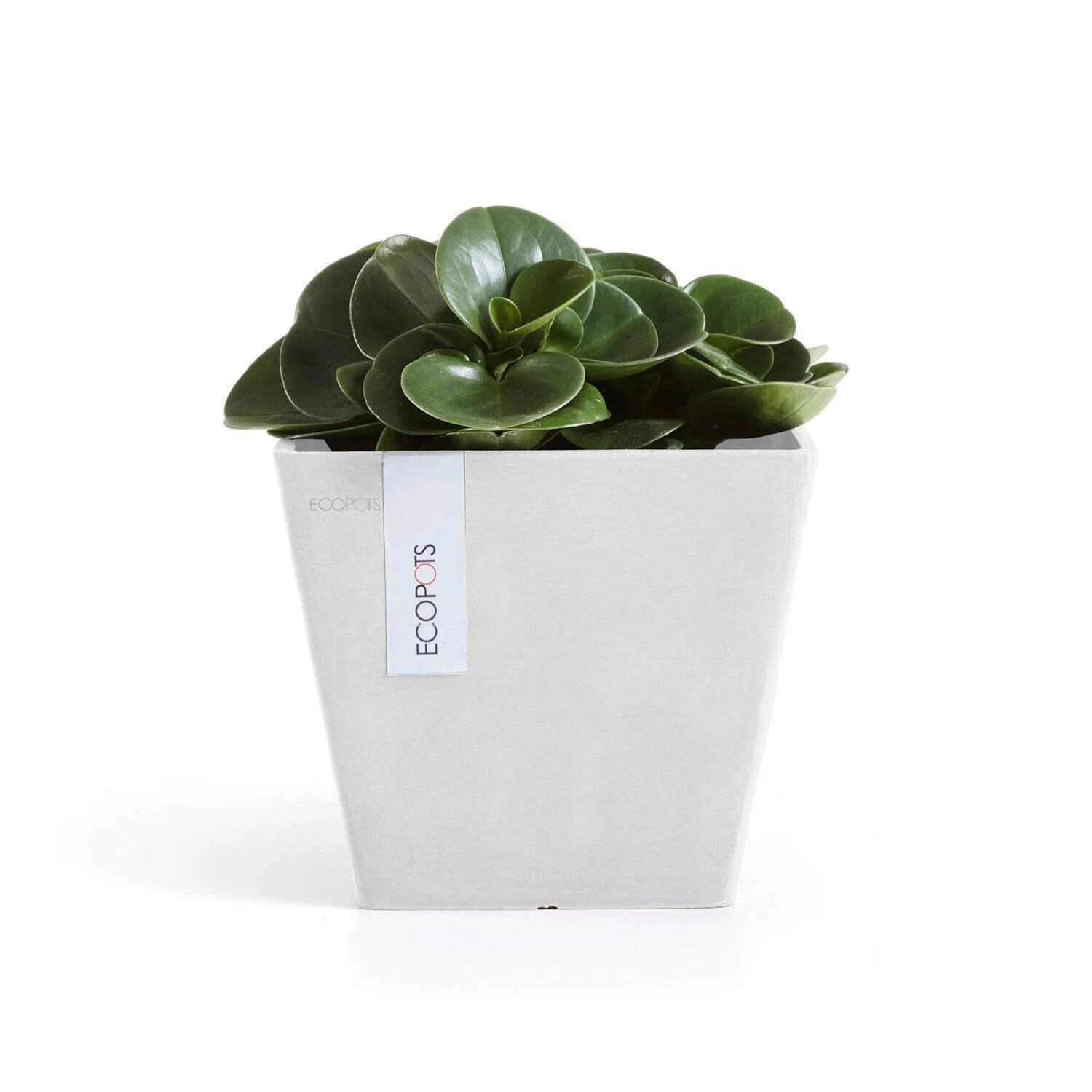 Ecopots Rotterdam Recycled Plastic Pot Light Grey