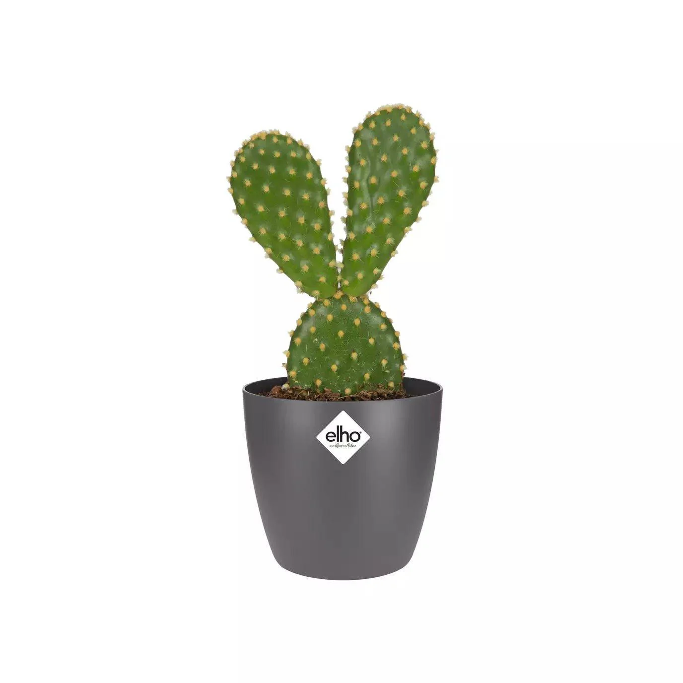 Elho Brussels Mini Round Pot - Image 5