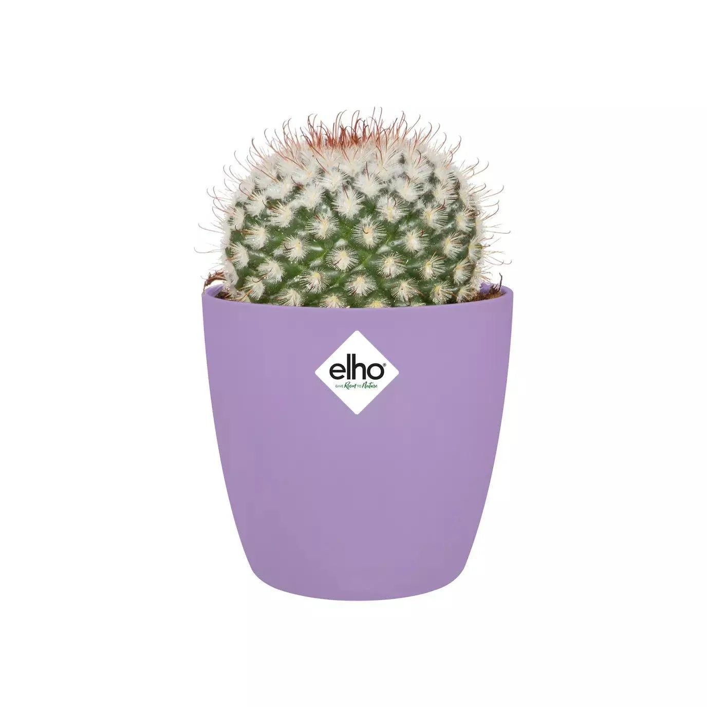 Elho Brussels Mini Round Pot - Image 6
