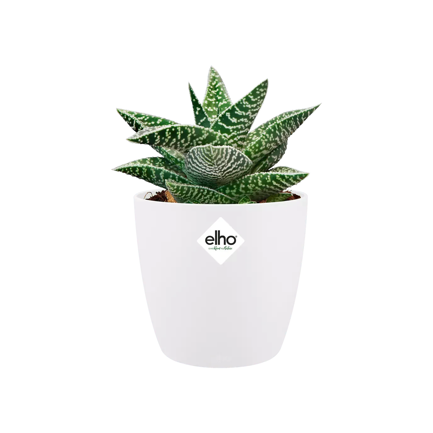 Elho Brussels Mini Round Pot - Image 7