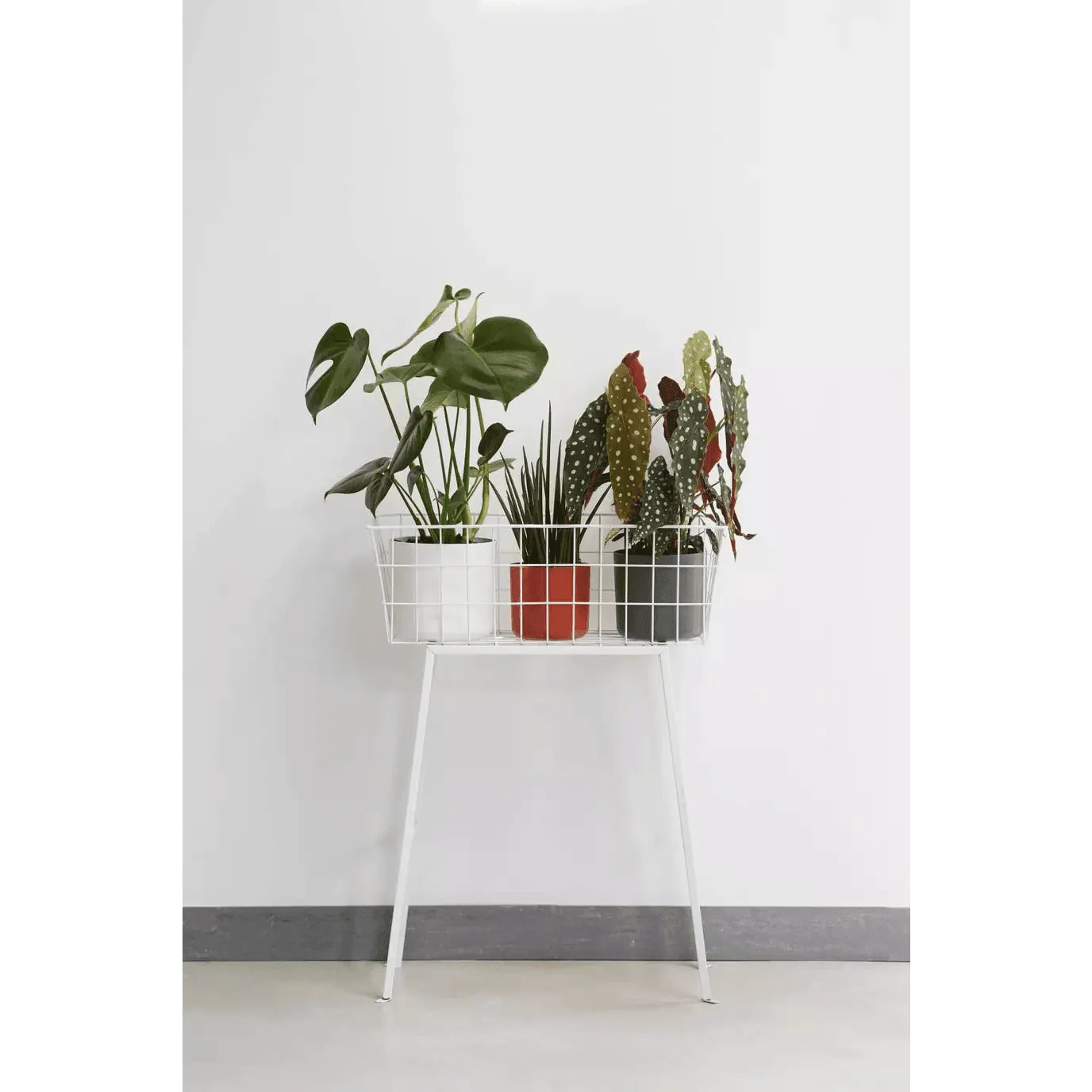 Elho B.For Soft Round - Image 2