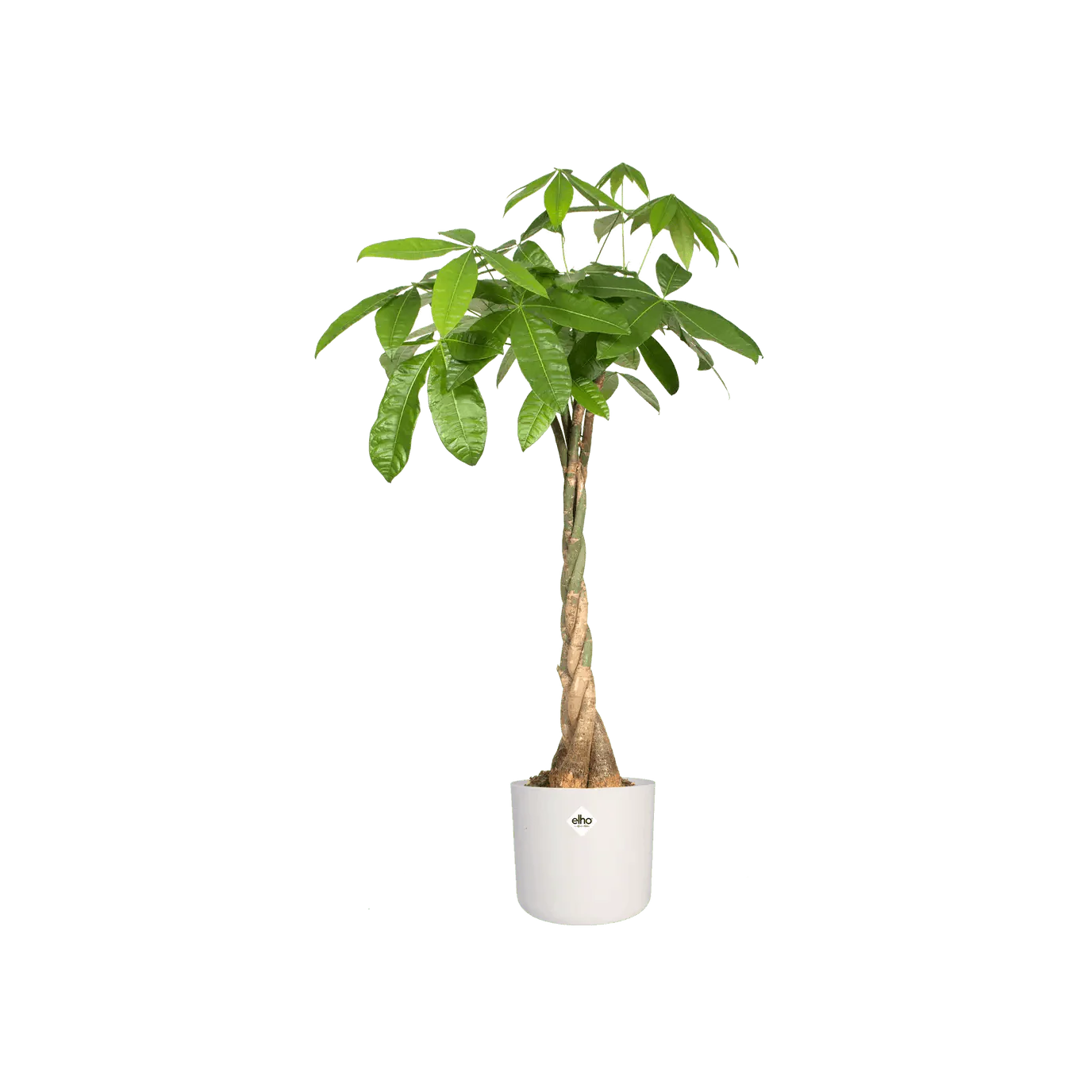 Elho B.For Soft Round - Image 4