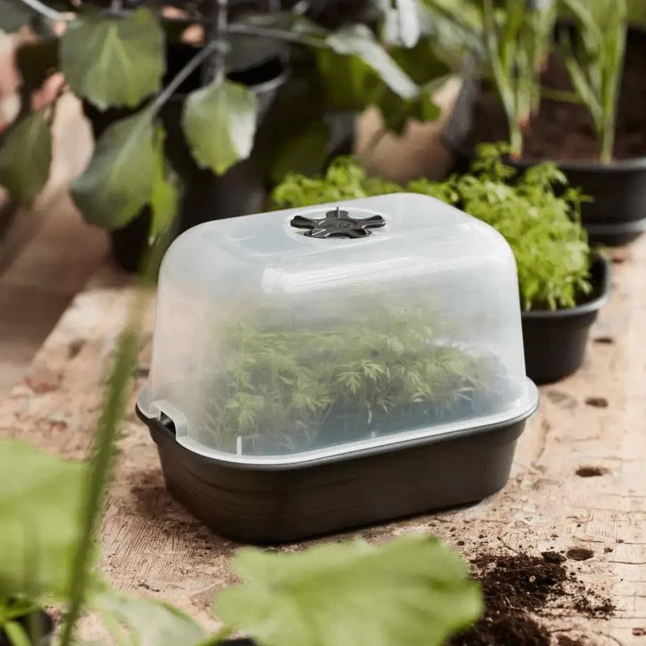 Elho Green Basics Grow House