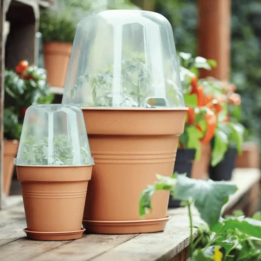 Elho Green Basics Grow House Round