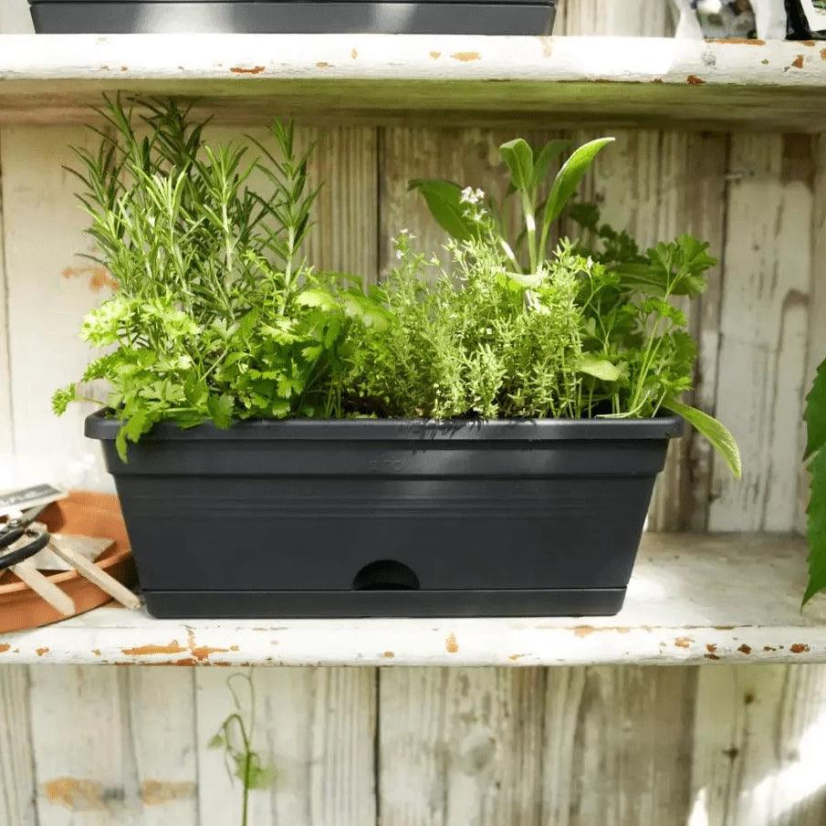 Elho Green Basics Mini Trough Pot