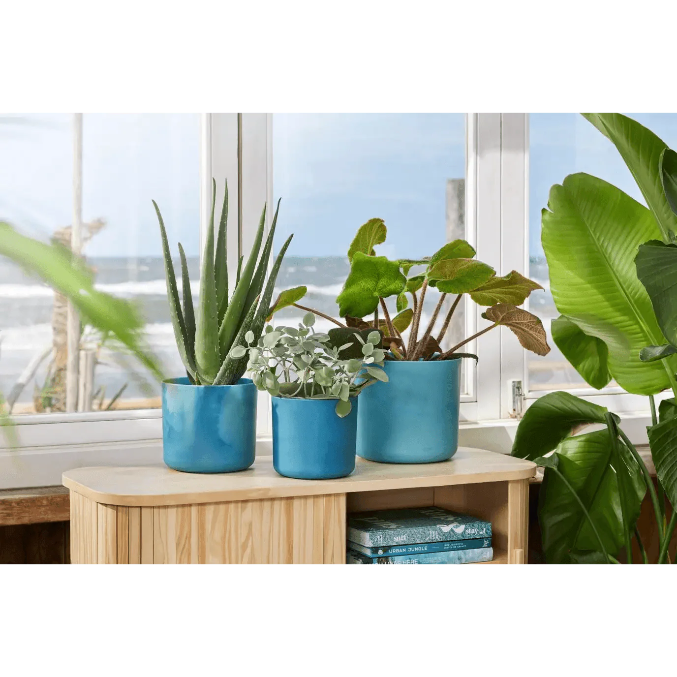 Elho Ocean Collection Pot - Image 3