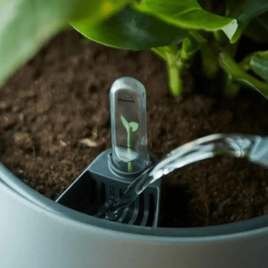 Elho Self-Watering Insert