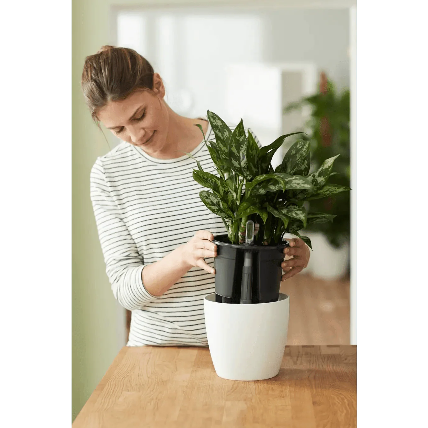 Elho Self-Watering Insert - Image 2