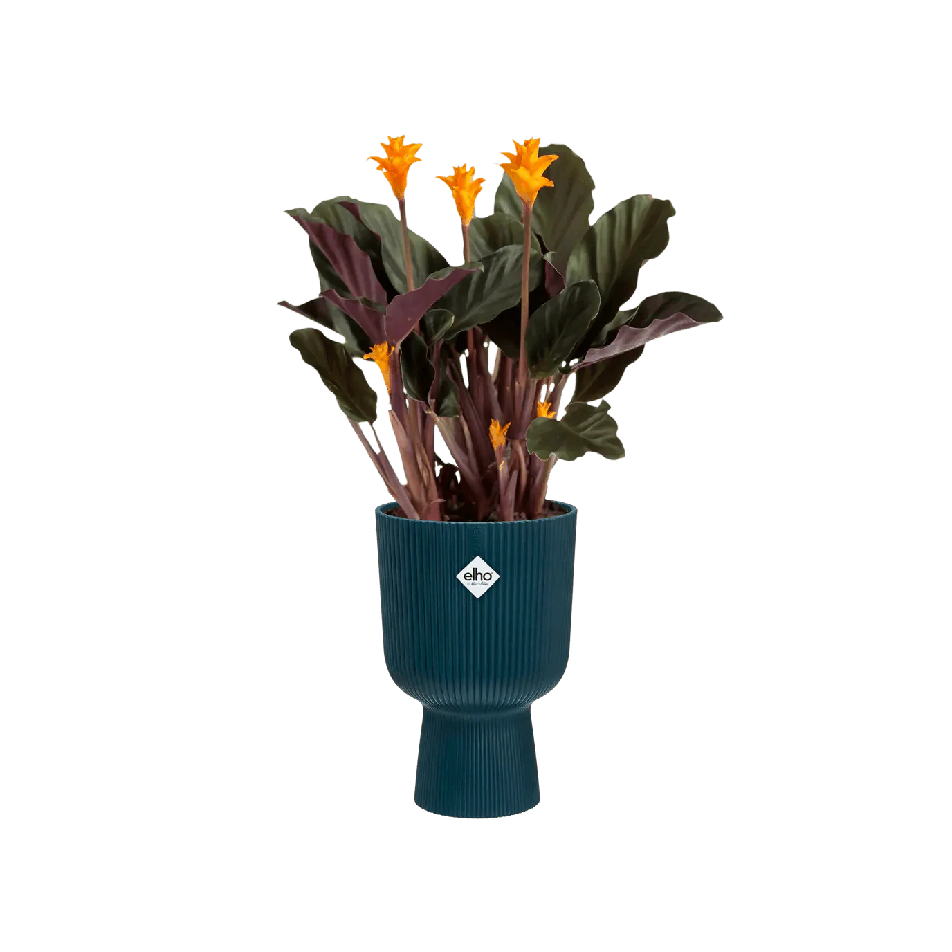 Elho Vibes Coupe Planter - Image 3