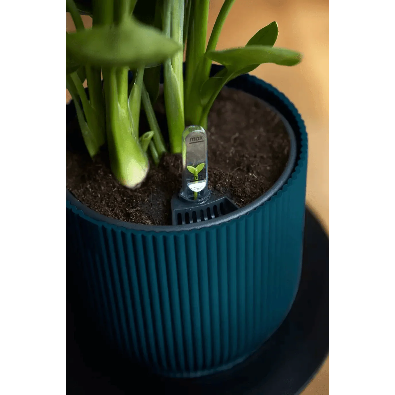 Elho Vibes Fold Mini Round Pot - Image 6