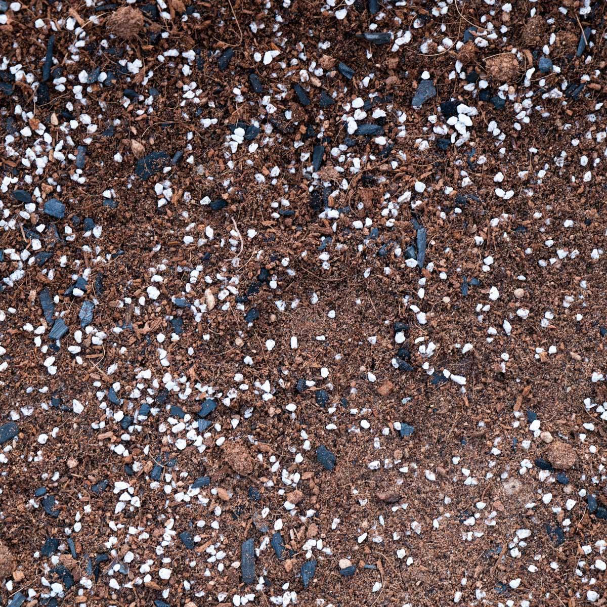 GrowTropicals Fern Potting Mix - Image 2