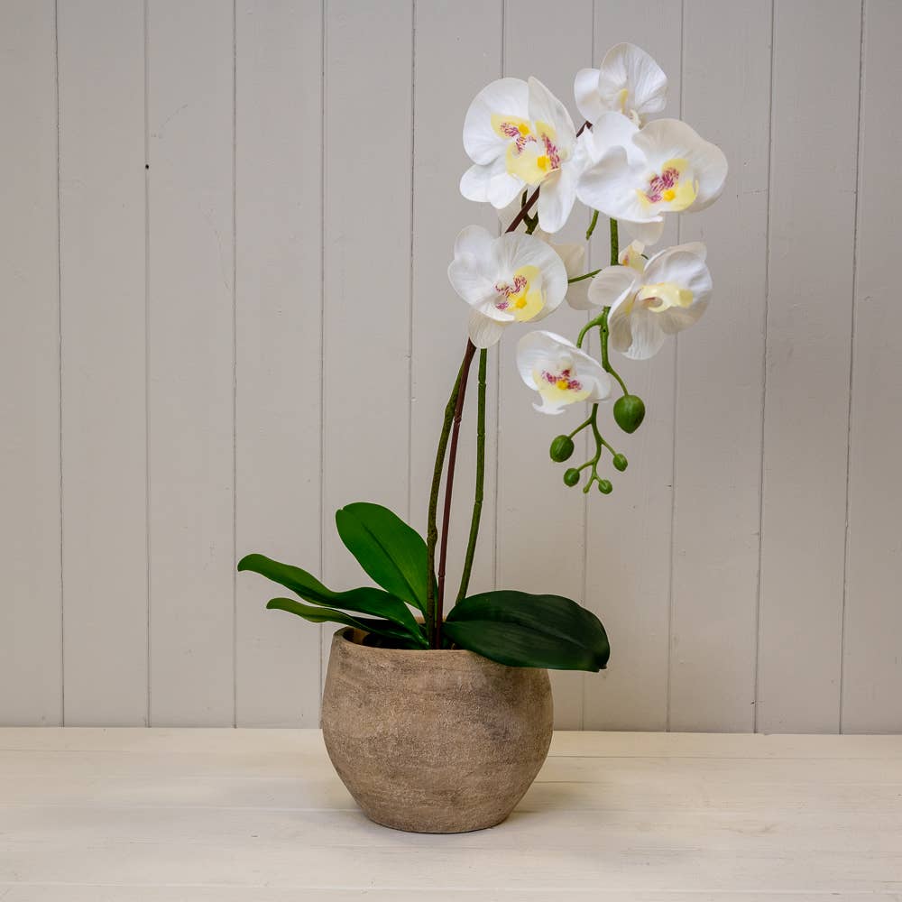 Grey Cement Planter 15cm