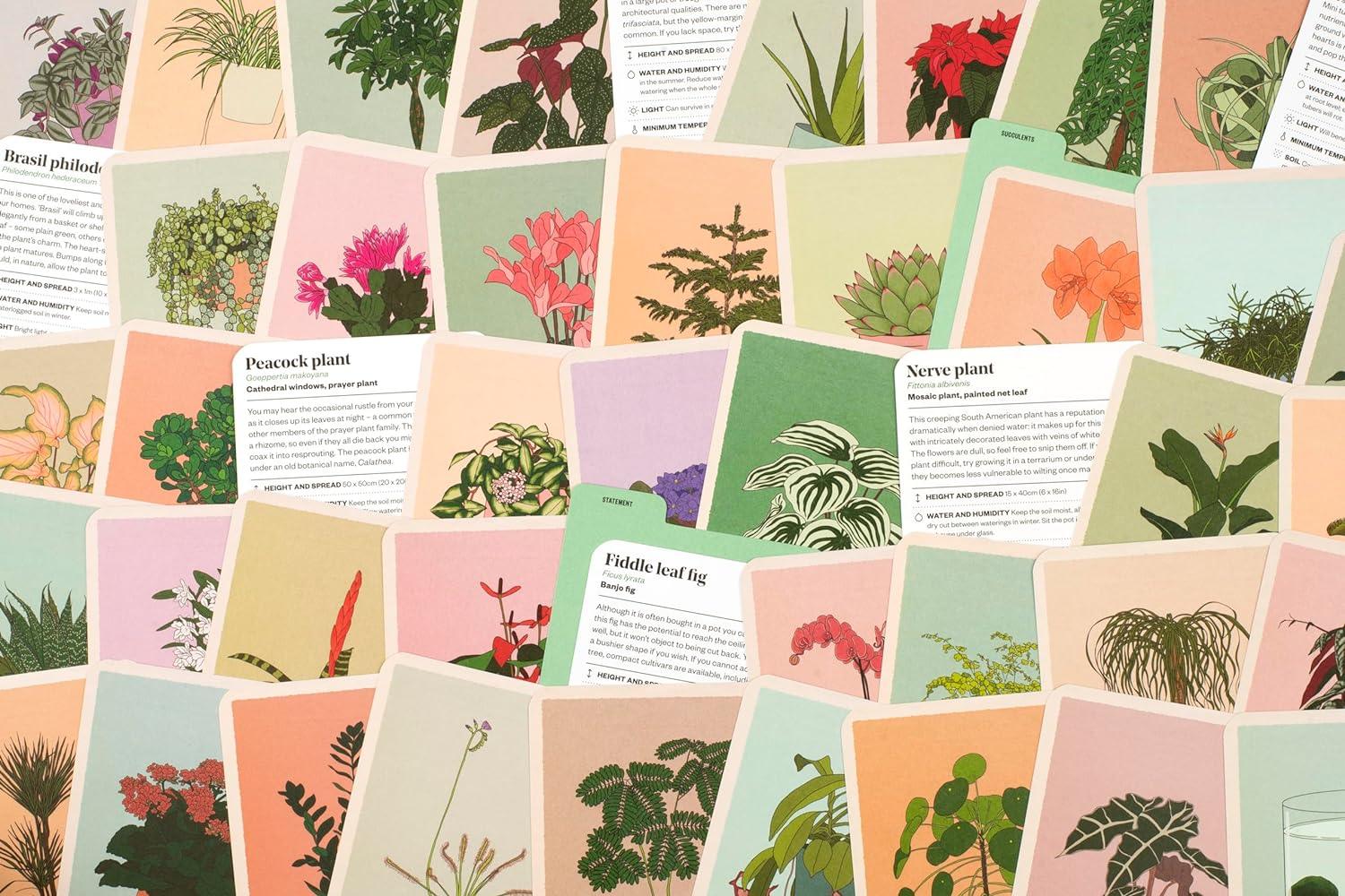 Houseplant Gardener in a Box - Image 2