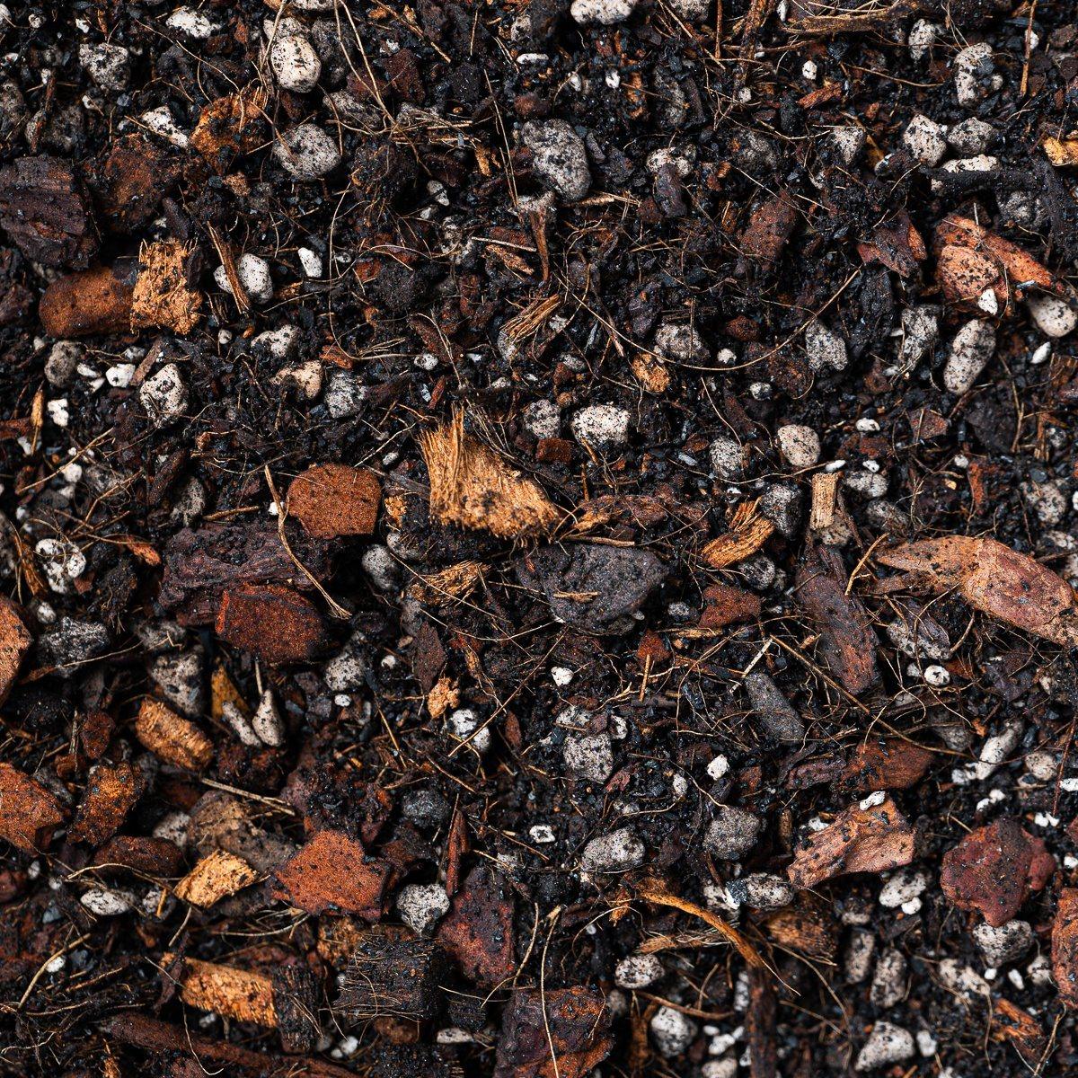 GrowTropicals Jungle Mix - Tropical Houseplant Potting Mix - Image 2