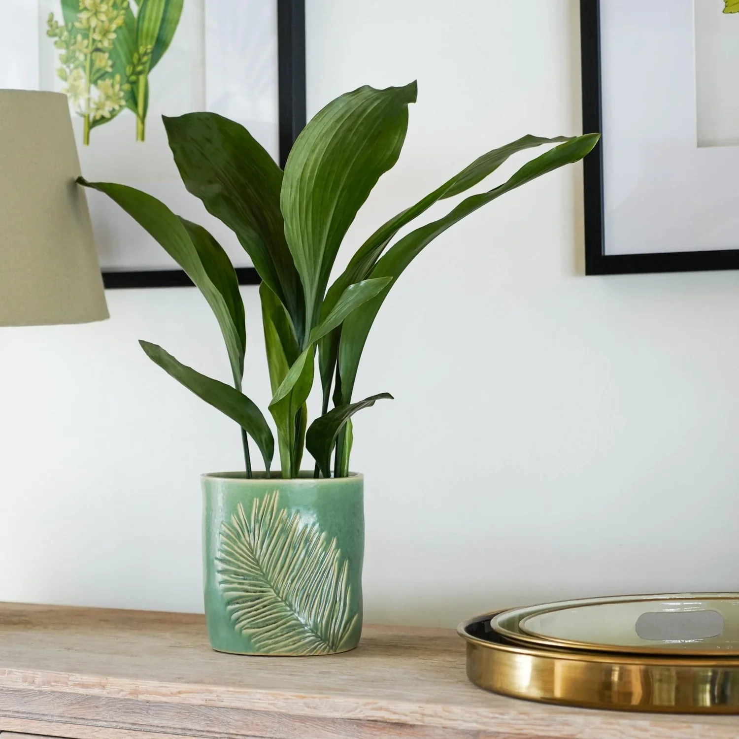 Kew Stoneware Green Sago Palm Planter - Image 3