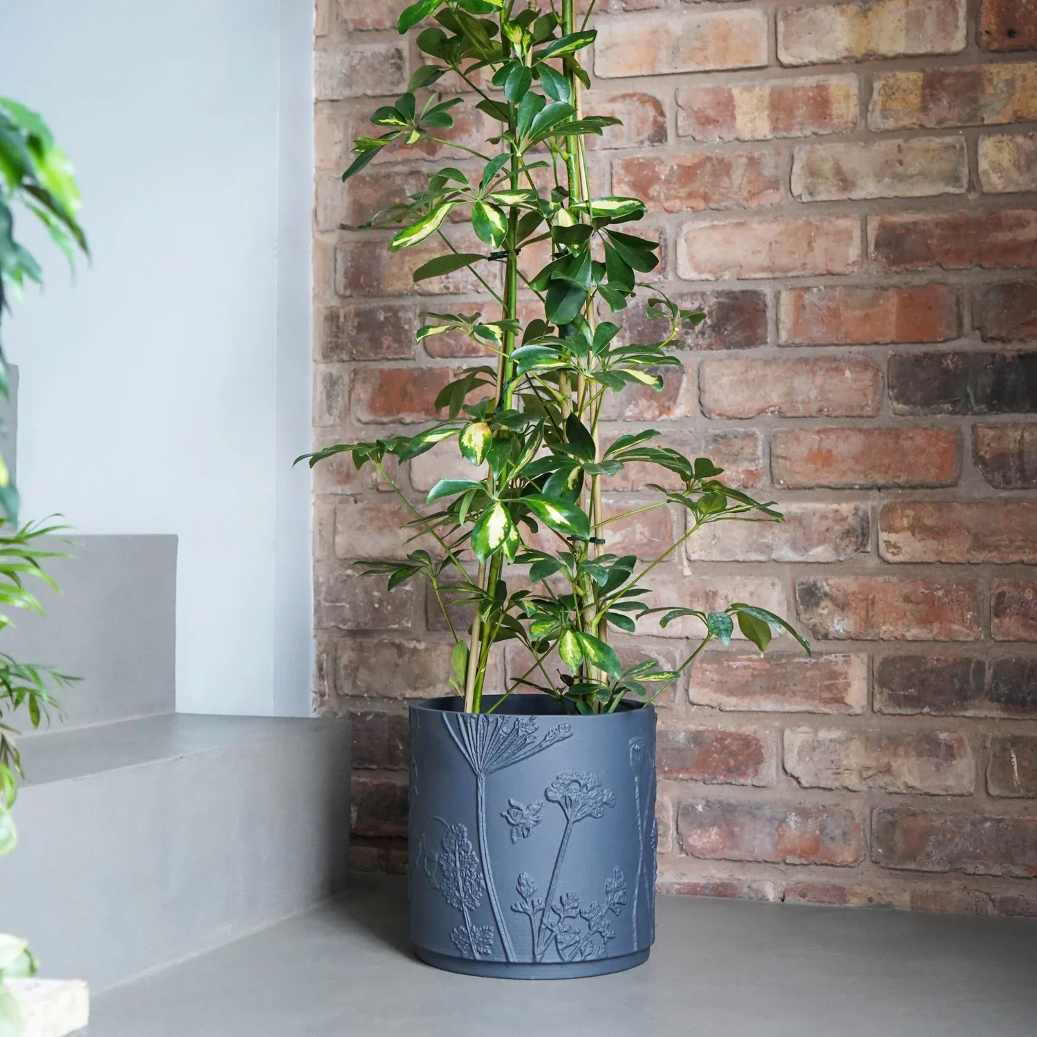 Kew Stoneware Midnight Meadow Planter - Image 2