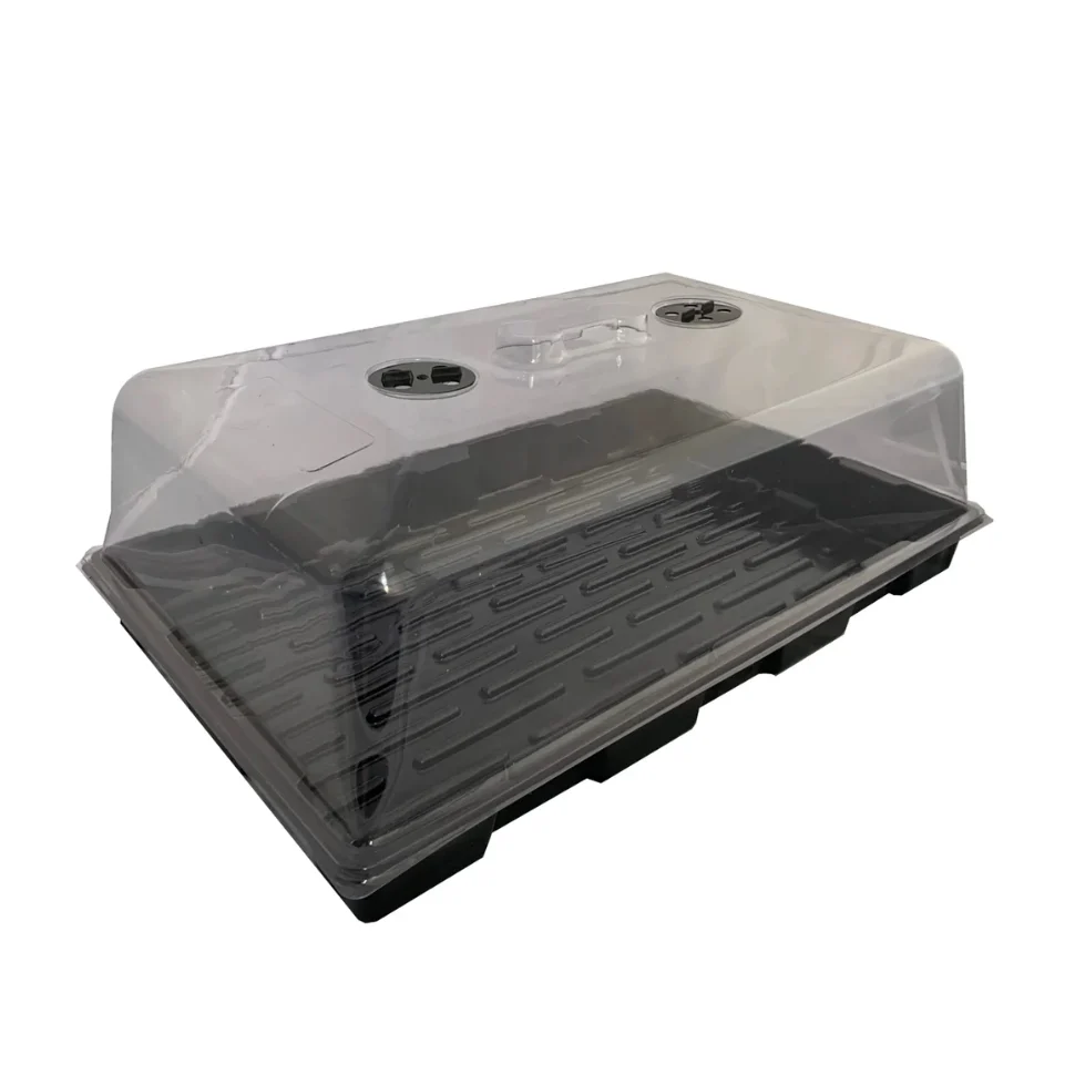 Large Propagator 58 x 39 x 23cm