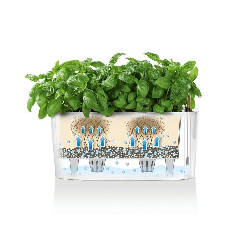 Lechuza Delta 10 Self Watering Plant Pot - Image 4