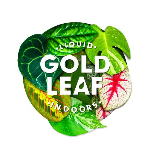 Liquid Gold Leaf Plant Fertiliser - Image 2