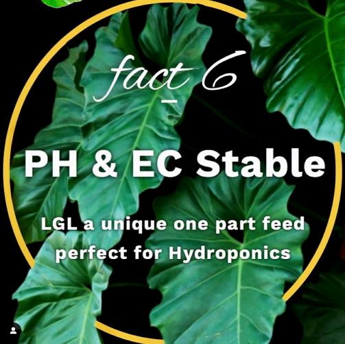 Liquid Gold Leaf Plant Fertiliser - Image 3