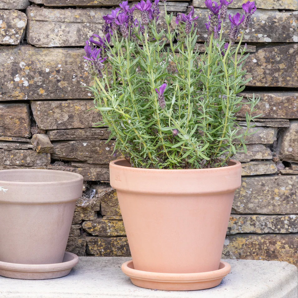 Lucca Pink Terracotta Pot - Image 3