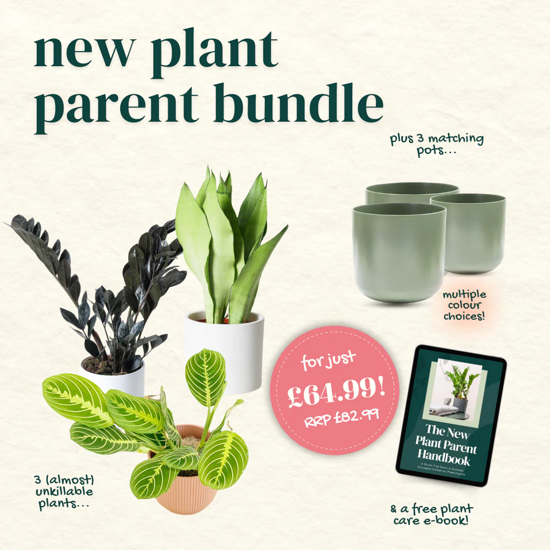 New Plant Parent Bundle (Free eBook included!)