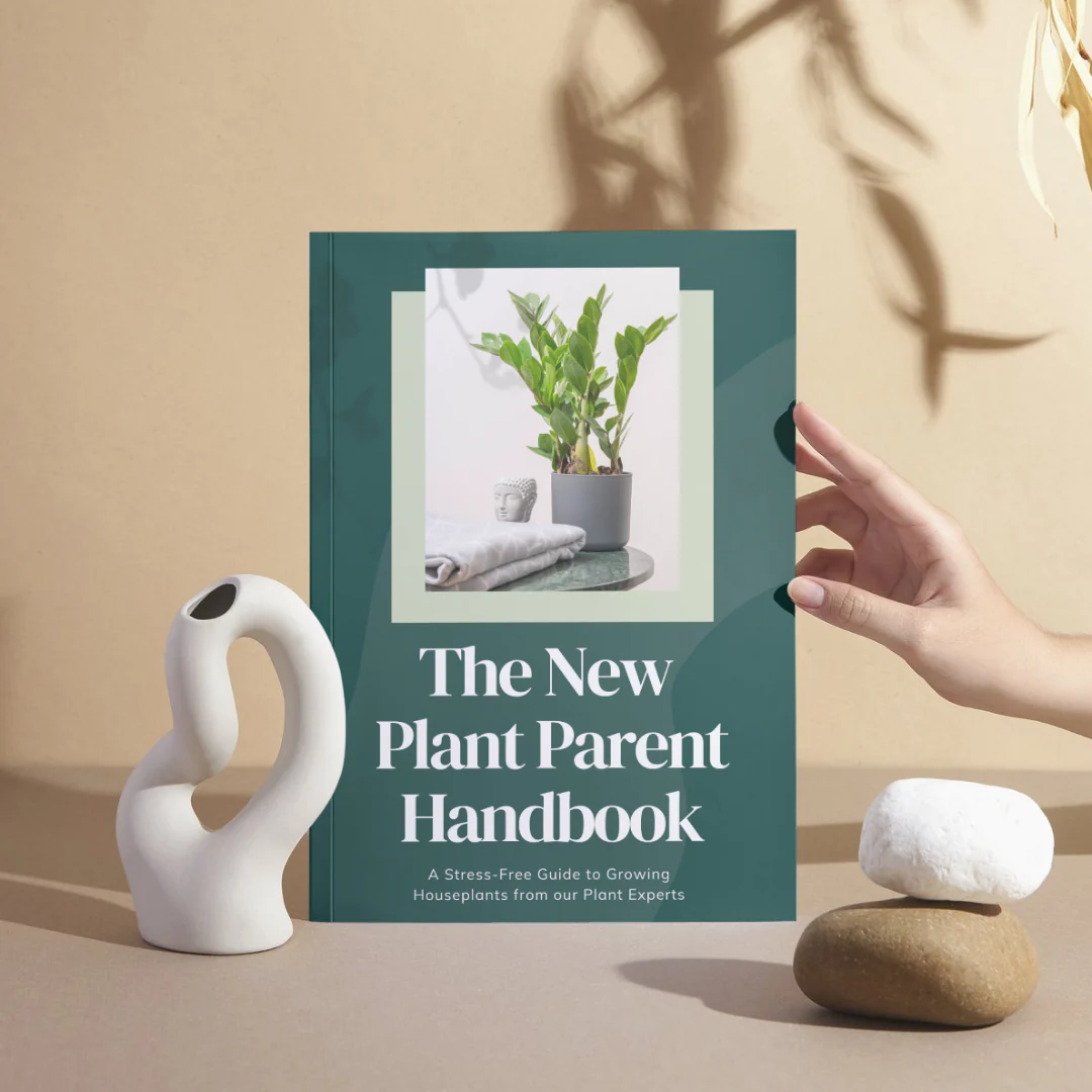 New Plant Parent Bundle (Free eBook included!) - Image 10