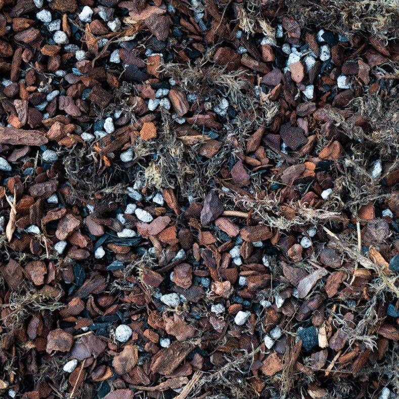 GrowTropicals Orchid Potting Mix - Image 2